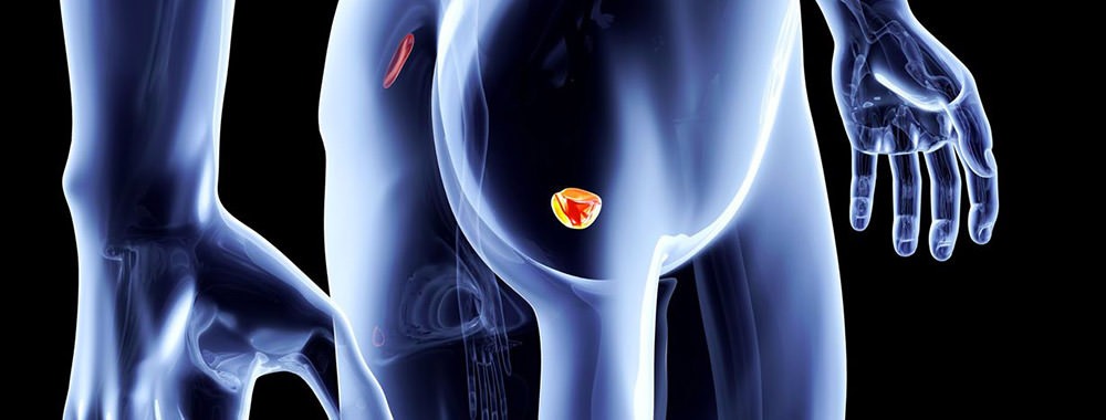 La Salute della Prostata: Farmaci e Consigli per la Prevenzione